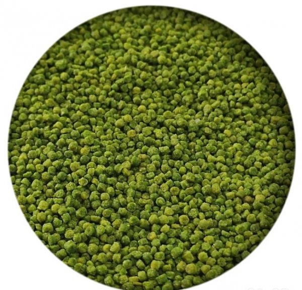 PP - GMX 5 KG