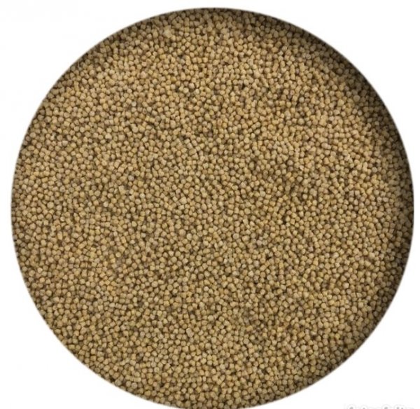 PP - COLEIRO 300 GR